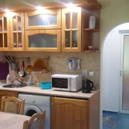 централ Apartment Sinemoretz